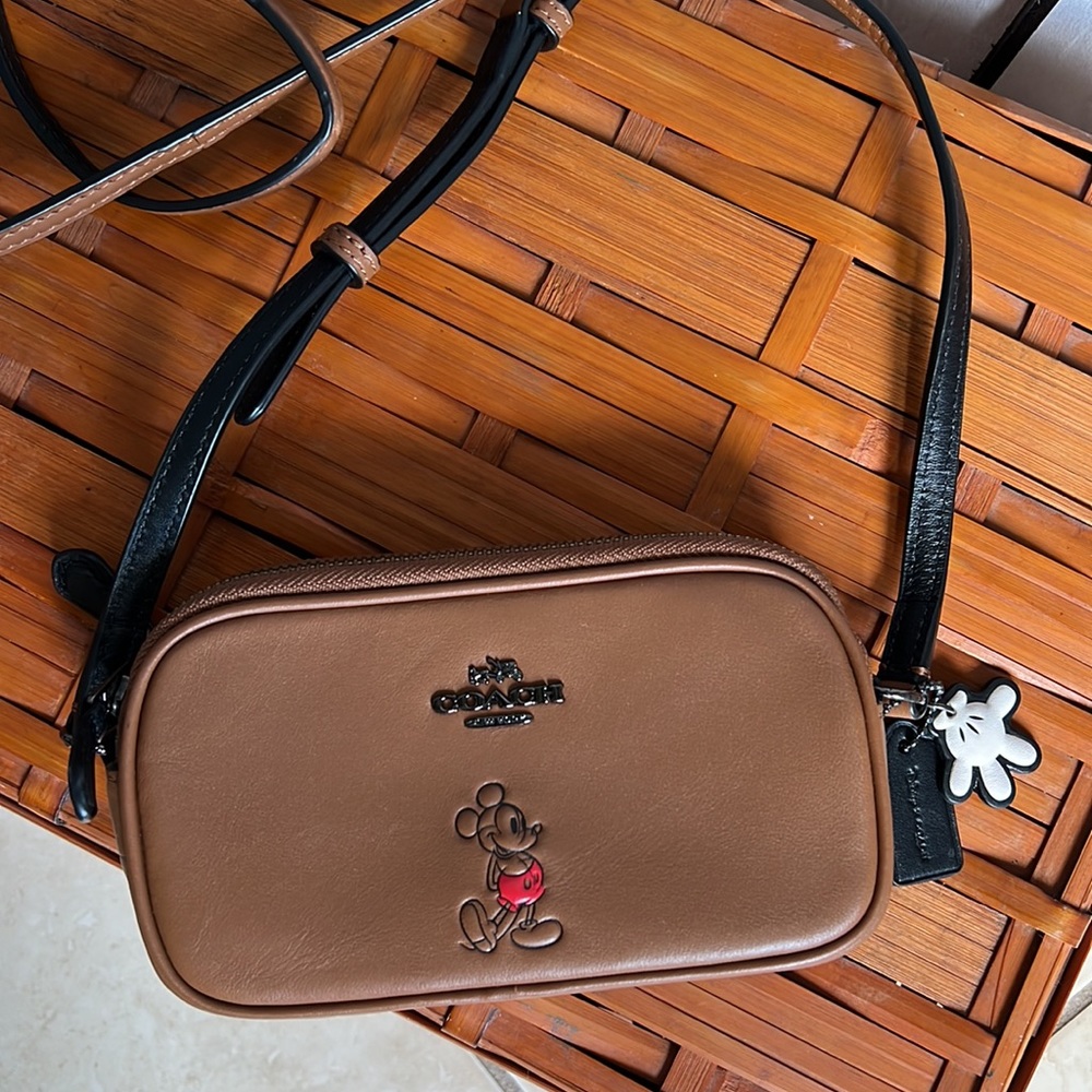 NWOT Coach x Disney Leather  Small Crossbody Bag Limited Edition